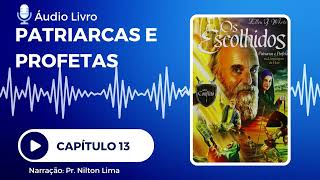 🎙 Áudio Livro - Patriarcas e Profetas na Linguagem de Hoje (os escolhidos) - Capítulo 13