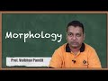 Introduction to Morphology - Morphological Image Processing - Image Processing