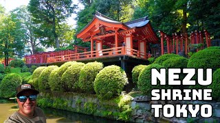 Visit Tokyo's Nezu Shrine | One of Tokyo's oldest shrines