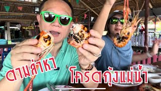 กุ้งแม่น้ำตัวใหญ่ ราคาโครตถูก จับกันแบบสดๆ ที่ ครัวลุงยุทธ บางตะบูน เพชรบุรี