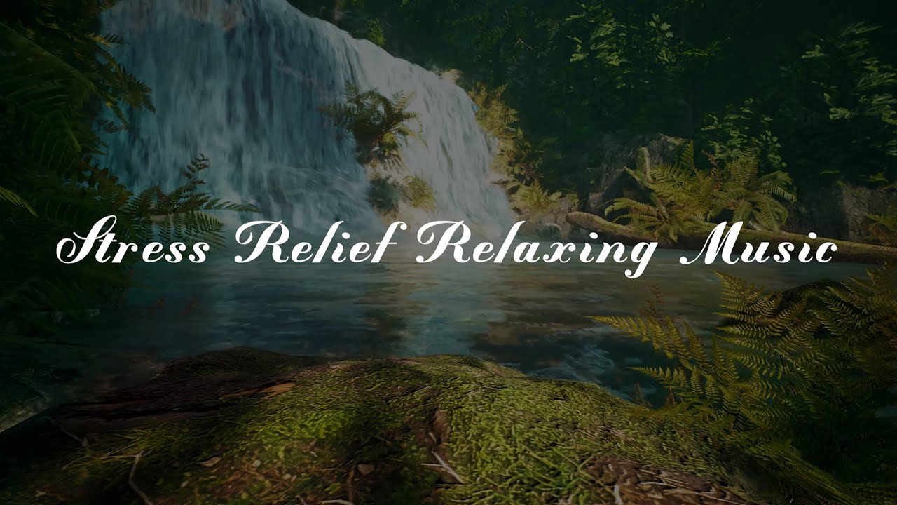 Stress Relief Relaxing Music Nature S Sounds Youtube Music