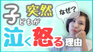 【子育て】こどもが突然、泣く・怒る理由