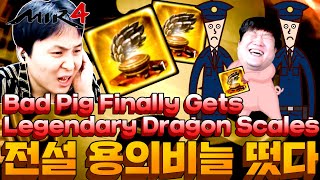 MIR4 Jihoajae GLOBAL Bad Pig Finally Gets Legendary Dragon Scales! 글로벌서버 전설용의비늘! 미르4 지호아재