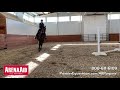 All Purpose Horse Arena Footing | Premier Equestrian