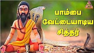 பாம்பாட்டி சித்தர் தன்னை உணர்ந்த கதை | தமிழ் சித்தர்கள் |  சித்தர் போக்கு | Siddargal