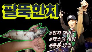 한치낚시 팔뚝 덩치급들이 제법 붙었습니다! 한치낚시채비/한치낚시요령/캐스팅게임방법  (ikametal, cuttlefish, Bigfinsquid, やり,いか)