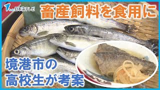 【ギンザケ】高校生が考案！境港サーモンの稚魚の新商品　「僕らじゃ思いつかないようなことを…」　鳥取県境港市