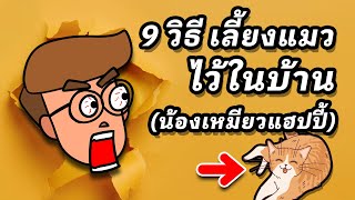 9 วิธีเลี้ยงแมวในบ้าน (ให้เจ้าเหมียวแฮปปี้)