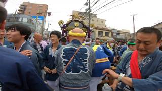 31年　　　塚越稲荷神社「初午祭」本社黒屋根大神輿おもてなし渡御（埼玉県蕨市）迫力満点です。