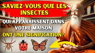 LES INSECTES 🐞🦋 qui apparaissent dans votre maison ont une signification ! Enseignement Bouddhiste