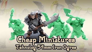 Tehnolog 54mm Ogre Miniatures