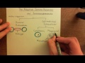 The Adaptive Immune Response and Immunosuppressants Part 1