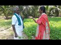 பட்டுப்புழு வளர்ப்பு sericulture method pattu pulu valarpu in tamil market masala