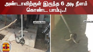 அண்டாவிற்குள் இருந்த 6 அடி நீளம் கொண்ட பாம்பு..!