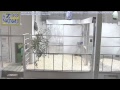 Hope Giraffe Cam #TopZooKTWU Hope Giraffe Cam #TopZooKTWU