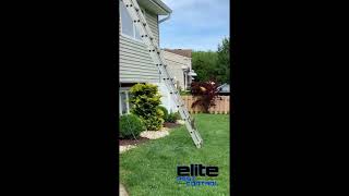 Squirrel uses ladder #funny