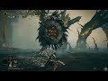 elden ring shadow of the erdtree all major bosses u0026 ending no summons mimic tear