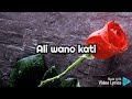 Omwoyo we By Pastor Wilson Bugembe HD Video Lyrics gospel music praise and w Full HD