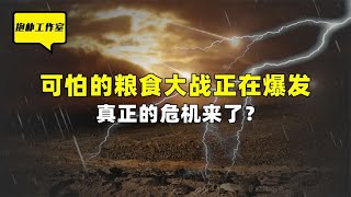 本地粮仓硬刚世界四大粮商，揭秘最邪恶的粮食大战！【抱朴工作室】