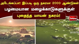 அடேங்கப்பா! இப்படி ஒரு நகரமா 2000 ஆண்டுகள் பழமையான மழைக்காடுகளுக்குள் புதைந்த மாயன் நகரம்!