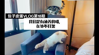 包子皮蛋VLOG第18期—俩兄弟在酒店竟然没打架（估计太累了）