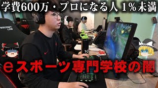 【ゆっくり解説】高額な学費とひどい学生…プロゲーマーを育成するeスポーツ専門学校の闇をゆっくり解説