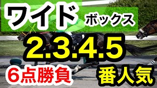 【馬券検証】ワイドボックス2.3.4.5番人気6点で勝負勝つことはできるのか！？【馬券勝負】