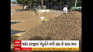 Amreli: અમરેલીના સાવરકુંડલા APMCમાં ઉનાળુ મગફળીની આવક શરુ થઈ