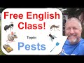 Let's Learn English! Topic: Pests! 🦟🐭🐜