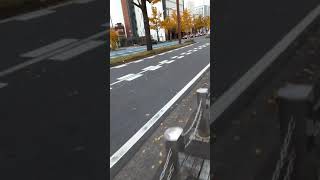 国際センター近くの交差点を 本部の救急車が