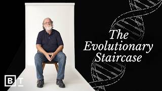 How evolution works, in 54 minutes | Sean B. Carroll: Full Interview