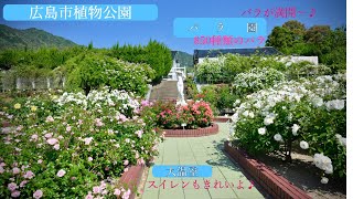 広島市植物公園2024_5月のバラと見頃の花