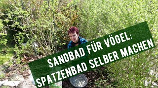 Sandbad für Vögel: Spatzenbad selber machen