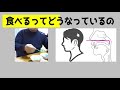 9月はまいにち歯にひろば。　京都市北歯科医師会　大河貴久 先生