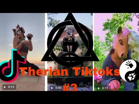Therian Tiktoks 3 Youtube