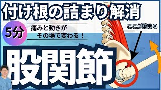 【股関節の詰まり解消】内転筋と腸腰筋が超伸びまくる5分間ストレッチプログラム！