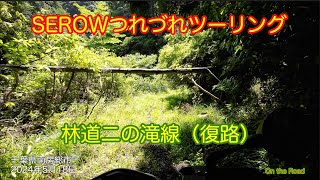 SEROW touring on the Road 林道二の滝線 Part2復路  付録：大川線 2024年5月18日 千葉県南房総市 #japan #offroad