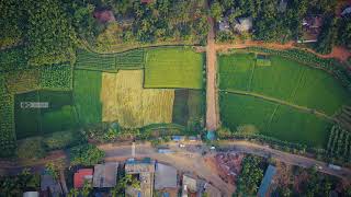 Finding peace 💚- Kadungallur | Helicam view | Beauty of Nature