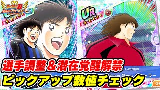 葵、ミューラー、潜在覚醒解禁、選手調整、ピックアップ数値チェック