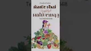 #จ่ายตลาดให้เป็นหน้าที่เรา #ย้ายผักเข้าเมือง #จัดผักตามออเดอร์ #ผักเชียงใหม่ #ผักไทยพื้นบ้าน