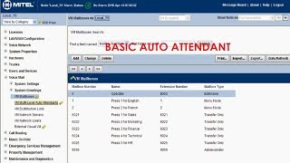 Basic Voicemail Auto Attendant 1