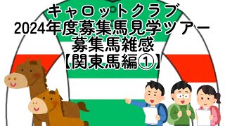 【一口馬主】キャロットクラブ 2024年度募集馬見学ツアー 雑感【関東馬編①】