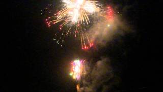 輪島市民大花火大会2011 三脚(1/2) (WAJIMA city fireworks event 2011, tripod ver. 1/2)