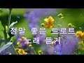 정말 좋은 트로트 노래 32곡 듣기 유튜브 최고에 명곡모음 묻지마 트로트 메들리 모음