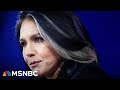 ‘Christmas tree of warning lights’: Atlantic writer sounds alarm on Tulsi Gabbard pick for DNI