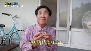 조실성박피호두