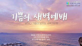 [ 02/12] 왕과 나귀: 무리와 기대와 예수의 기대