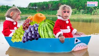 BiBi rowed a boat to harvest fruit to make fruit sandwiches