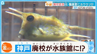 【廃校が水族館に！】元・職員室にカワウソ！？　元・校庭でニジマス釣り！？