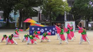 「 藍流 」どまつり2018 8/25(土)【ナディアパーク矢場公園】